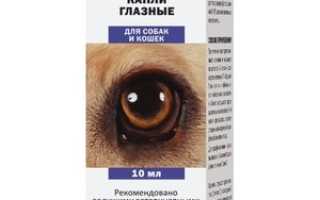 Глазные капли Ципровет: инструкция по применению для кошек и собак