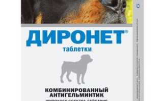 Инструкция по применению препарата Диронет для собак