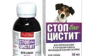 Стоп-цистит для собак: отзывы и инструкция по применению