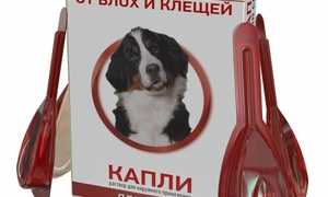 Чистотел для собак: инструкция по применению, отзывы