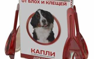 Чистотел для собак: инструкция по применению, отзывы