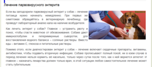 Энтерит: симптомы  у собак