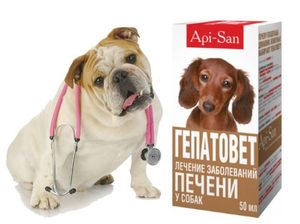 Гепатовет - это суспензия, которая помогает не только регенерировать повреждения печени