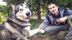 Главная команда дрессировки