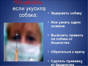 Инъекции после укуса собакой