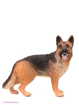 Немецкая овчарка - умный поводырь Нмецкая овчарка - умный поводырь для человека