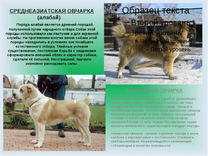 Чем питается алабай