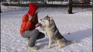 Повторение - это мать учения
