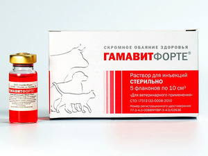 Препарат Гамавит 