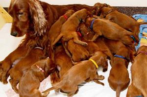 Ранние признаки заболевания признаки заболевания