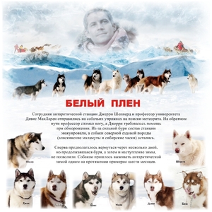 Рецензия фильма        Съемки фильма