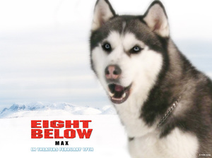 Отзывы о фильме белый плен Как снимали белый плен