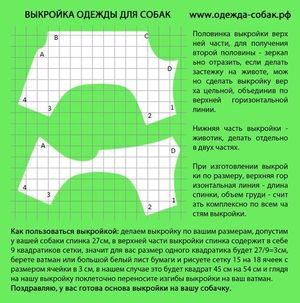 Снимаем мерки правильно Выкройка одежды для собак