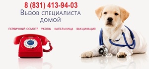 Вызов ветеринара на дом